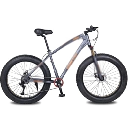  Mountain Bike Bicycles for Adults Snow Bike Aluminum Alloy Rame 10Speed Fat Beach Bicycle Lock The Front Fork Mechanical Disc Brake (Color : Grey Orange)