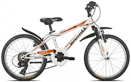 Carratt Mountain Bike Carratt 630 MTB TX30, Mountain Bike Uomo, Bianco / Arancio, 20
