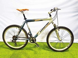 CINZIA Bici CINZIA Bici Bicicletta 26' Modello Boomer MTB Mountain Bike (Blu-Bianco, 47 H)