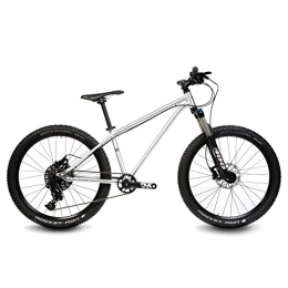 Early Rider Hellion Trail 24 Hardtail H-T24HT Kid«s Bike 24", NX 11, brushed aluminum