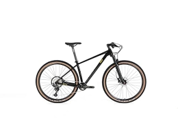 ICE Bici ICE MT10 - Bicicletta da montagna con telaio in fibra di carbonio, ruota 29", monopiatto, 12 V, colore: nero