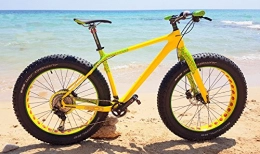 STORVAT Bici STORVAT Fat-Bike 26" Carbonio Versione Geco