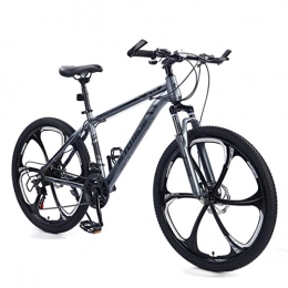 AZXV Bicicletas de montaña AZXV Bicicleta de montaña Mecánico Dual Disc-Disc-Frenos Que Absorbe la Bicicleta MTB, 21 velocidades, Ruedas de 26 Pulgadas, Colores múltiples, Bicicleta de Acero altame Grey