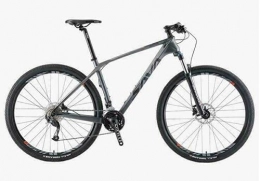 360Home Bicicleta Bicicleta de montaña con cuadro de carbono, 29 pulgadas, 27 velocidades, color gris