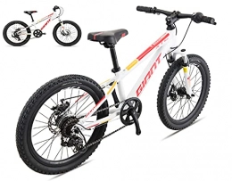 loknhg Bicicletas de montaña Bicicleta de montaña GIANT XTC 20-D de aluminio de 20 pulgadas, mango plano de 7 velocidades, freno de disco de cuadro y horquilla delantera con amortiguador, adecuada para niños de 120-135 cm de altu