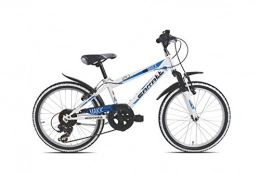 Carratt Bicicleta Carratt 630MTB TX30, Mountain Bike nios 0-24, 630 MTB TX30, Blanco / Azul, Talla Unica