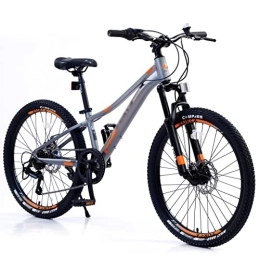 LOEBKE Bicicleta LOEBKE Bicicleta De Montaña De 24 Pulgadas For Niñas Y Niños, Bicicleta De Montaña De 7 Velocidades, Bicicleta con Cuadro De Aluminio Shimano con Freno De Disco (Color : Grey)