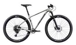 Unbekannt Bicicletas de montaña Merida Big.Nine NX-Edition - Bicicleta de montaña, titanio / plata, 2019 RH 53 cm / 29 pulgadas
