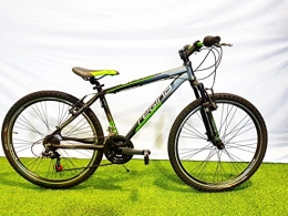 Regina Bicicletas de montaña Reina Bicicleta Bicicleta MTB 26Spark 21V Cambio Revoshift Nero-Verde