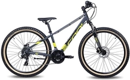 scool Bicicletas de montaña S'Cool Xroc Disc 26R 24S - Bicicleta de montaña para niños (40 cm), color gris y amarillo