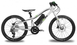 ben-e-bike Bicicletas eléctrica ben-e-bike Twenty E-Power 2020 - Bicicleta eléctrica infantil