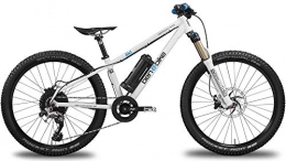 ben-e-bike Bicicletas eléctrica ben-e-bike TWENTYFOUR E-Power Pro
