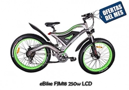 FUJISOL Bicicleta Bicicleta de montaña elctrica FUJI18-250W LCD