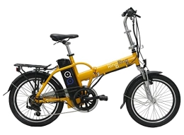 RING RING Bicicleta Bicicleta eléctrica Plegable Partner (Verde)