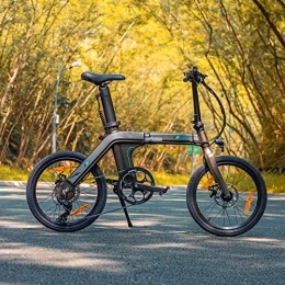 FIIDO FIIDO ELECTRIC BIKE Bicicletas eléctrica D21 Bicicleta Plegable eléctrica Recargable para Adultos, Bicicleta Recargable con batería extraíble para vehículos de Ciclismo de montaña al Aire Libre, batería de Gran Capacidad de