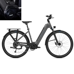 DERUIZ  DERUIZ E Bike - Bicicleta eléctrica de 28 pulgadas, motor central, 250 W, 80 Nm, batería de litio de 48 V, 13, 4 Ah, Shimano de 9 marchas, ruedas de ciudad de 25 km / h hasta 120 km