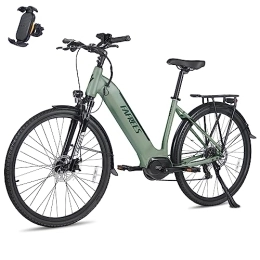 Fafrees Bicicletas eléctrica Fafrees 24 (verde)