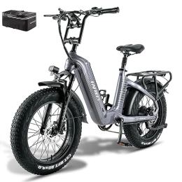 Fafrees  Fafrees Bicicleta eléctrica F20 Master E para mujer de 20 pulgadas, 48 V / 22, 5 Ah / 1080 Wh, batería de 60 N.m, bicicleta eléctrica para hombre, 150 kg, 165 – 200 cm, Shimano 7S, bicicleta eléctrica de