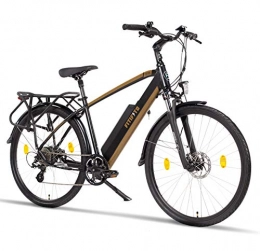 Fitifito Bicicleta Fitifito CT28M - Bicicleta eléctrica de ciudad (28 pulgadas, 48 V, 250 W, motor trasero SY, 8 velocidades, cambio Shimano), color negro y dorado