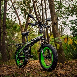 RICH BIT Bicicletas eléctrica RICH BIT 500W 48V 20 * 4.0 Inch Fat E-Bike Electric Bike green