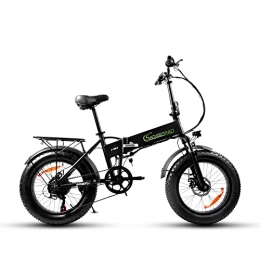 LEICKE Bicicletas eléctrica Sachsenrad E-Folding R9 - Bicicleta eléctrica plegable de 20 pulgadas, motor de 250 W, batería de litio de 48 V, 8 Ah, máx. 25 km / h, cambio de 6 marchas, certificado por StVZO, freno de disco
