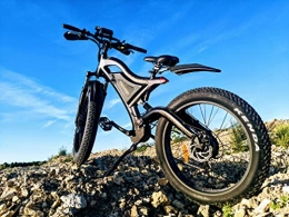 STALKER MAD BIKE Bicicleta Staker Mad Bike® Predator - Bicicleta eléctrica (26 x 4, 750 W, 48 V, 11, 6 Ah, 120 Nm)