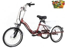 Dongshan Bicicleta Triciclo Bicicleta de 3 Ruedas asistida eléctrica para Adultos de 20 '' con Cesta de la Compra para Padres y Familiares Bicicletas de Tres Ruedas Bicicleta para Mujer batería de Litio 48V10AH