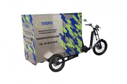 TRIPS Bicicleta TRIPS - Triportador triciclo eléctrico de 250 kg de carga. Módulos: Street Food Truck Cociine- Trans palets – Pickup – Cargo envío – Taxi – (Cargo)
