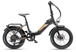ARMONY Bicicletas eléctrica Usos Boss Armony - Bicicleta eléctrica (250 W, pedal asistido, gris)