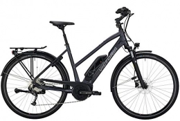 Victoria e-Trekking 6.4 - Bicicleta eléctrica trapezoidal 2020 Pedelec (53 cm)