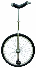 Anlen Bicicleta Fun Einrad Zoll Monociclo, Unisex, Plateado, 24 in