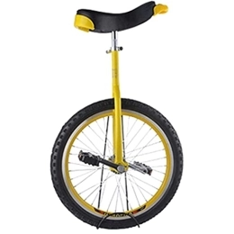 FZYE Bicicleta FZYE Monociclo para niños de 16 / 18 Pulgadas para niñas / niños, con Tubo de Asiento Antideslizante moleteado, Equilibrio de neumáticos, Ciclismo, cumpleaños