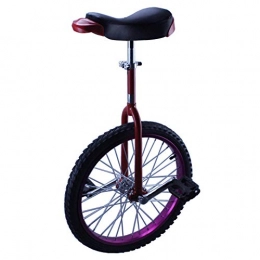 LRBBH Bicicleta Monociclo, Adultos Equilibrio Antideslizante Acrobacia Competitiva Bicicleta de una Sola Rueda Altura Adecuada por Encima de 180 CM Carga MáXima de 170 Kg / 24 pulgadas / púrpura