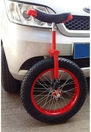 QULACO Monociclo Monociclo de bicicleta Monociclo de rueda de 20 / 24 pulgadas para niños Adultos Principiante Adolescente, monociclos Asiento de sillín cómodo Neumáticos extra gruesos antideslizantes, Equilibrio al a