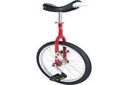 Einrad Bicicleta Monociclo xx4 - Monociclo, color multicolor