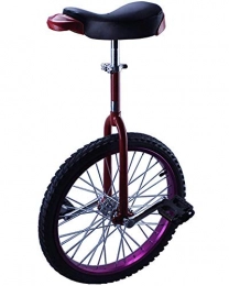 WXX Bicicleta WXX 14 / 16 / 18 / 20 / 24 Pulgadas Monociclo para Niños Monociclo Monociclo Bicicleta De Equilibrio Color Ruedas De Aleación De Aluminio Bicicleta De Ejercicio Al Aire Libre, Púrpura, 18 Inch