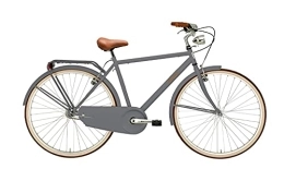 ADRI Paseo WEEKEND - Bicicleta anatómica para hombre (28 pulgadas), color gris