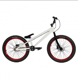 TX BMX Bike TX Professional 24 Inches Freestyle Bike Trail Mountain Jump Bike Extreme Sports Disc Brakes Outdoor Travel Used, White