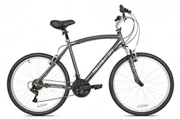 reCreation Northway Comfort Bike, Grey, 16"/Small