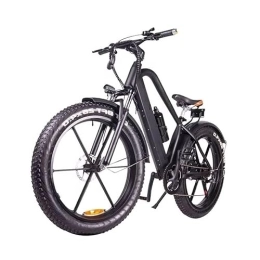 FstNiceTed Electric Bike 48V 10A Fat Tire Electric Bike 26" 4.0 inch Electric Mountain Bike for Adults with 6 Speeds Fat Bikes Black