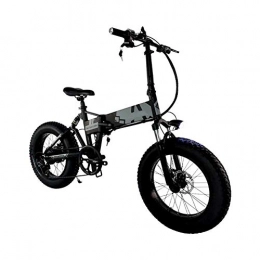 48V 500W Electric Bike Electric Mountain Bike 20Inch Fat Tire E-Bike Shimano 7 Speeds Lithium Battery Hydraulic Disc Brakes