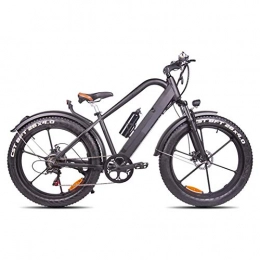 AINY Electric Bike AINY Electric Bike Fat Tire 20 4" with 48V 500W 15Ah Lithium-Ion Battery, City Mountain Bicycle Booster 100-120KM