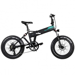 Amesii123 Folding Electric FIIDO Mountain Bike 250W Motor 7 Speed Derailleur 3 Mode LCD Display 20" Wheels E-Bike for Adults Teens Black