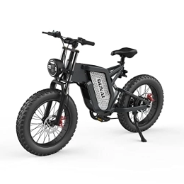CANTAKEL  CANTAKEL Electric Bike, 20 Inch Fat Tire Snow Off-Road Electric Bike with 48V 25AH Removable Lithium Battery, Shimano Professional 7-Speed Transmission and LCD Display.