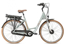Dutchebike Electric Bike Dutchebike Voltage II 28 Inch 50 cm Woman 7SP Roller brakes Mint Green