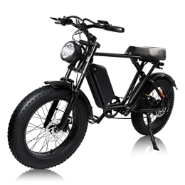 E-RIDES  E-RIDES 20x4 Fat Tire Electric Bikes for Adults with 48V 15Ah Battery, Dual Suspension, and 7-Speed Options for Outdoor Cycling, Mountain Biking, Dirt Biking, and Snow Biking