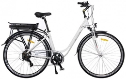 Ebici Bike Ebici City 5000 Eco 36 V Electric Bike 28 Inch Pedelec for Men and Women, City Wheel, E-Bike, Rear Motor 250 W, Lithium Ion Battery 11Ah 396 Wh