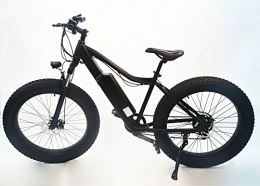 CityEbike  Electric Bike 36V Lithium-ion Built in Battery Electric Motor Bicycle Ebike 26 - M1226F (Matt Black)
