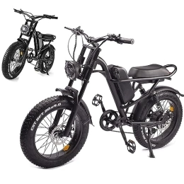 Electric Bike for Adult 48V 15.6AH Mountain Bike Electric Bicycles Removable Li-Ion Battery,20"×4" Fat Tire Ebike,LCD display Shimano 7-Speed for Outdoor Cycling