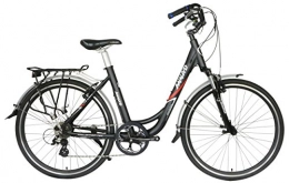 Electric Bike Bike Electric Bike, Max Speed 25 km / h, 24V 250W Brushless Rear Hub Motor, 3-4 Hour Charge Time, Max Distance 60km CNL2 (Black)
